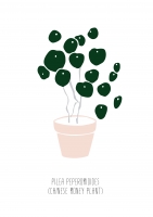 Постер "Pilea"
