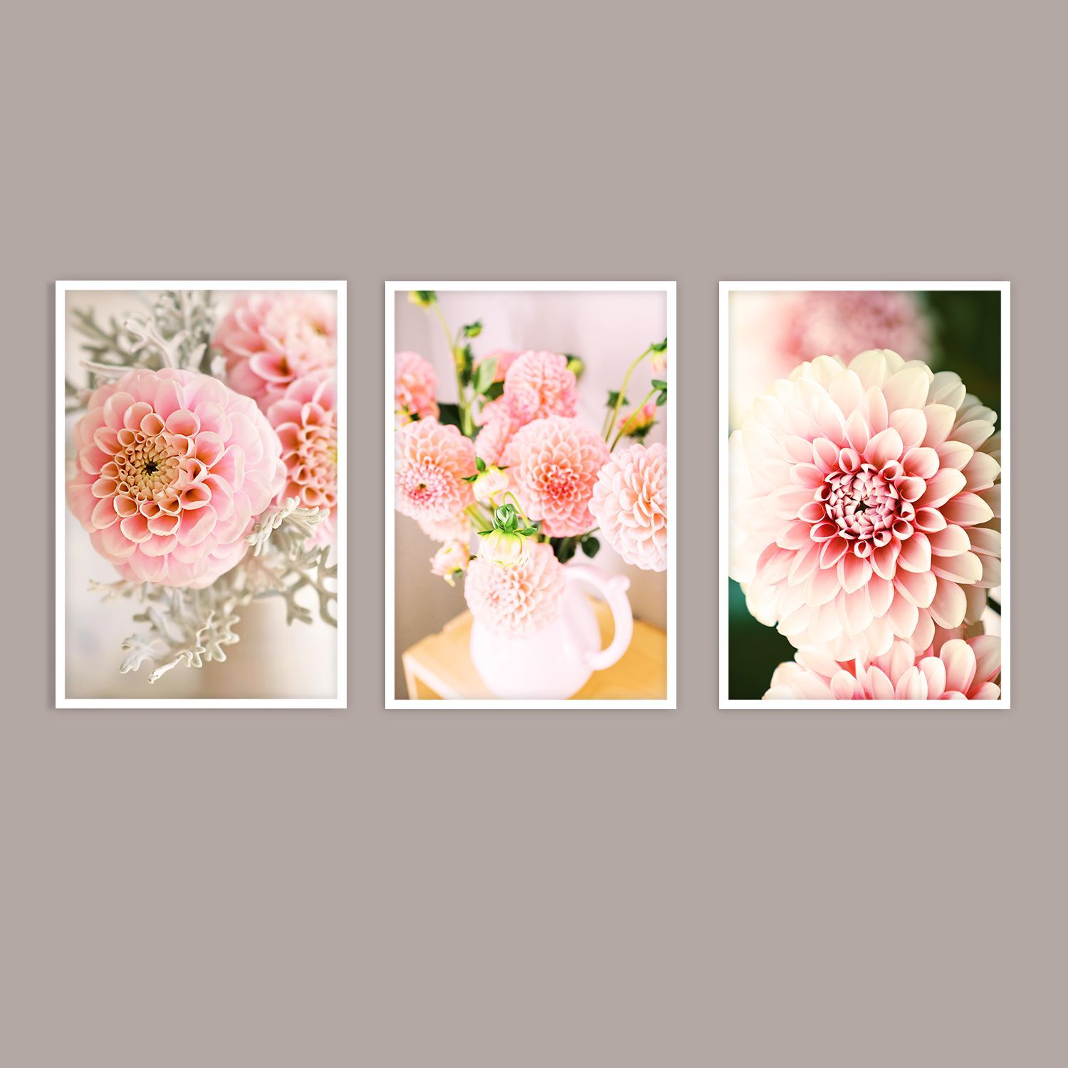 Набор постеров "Георгины"  