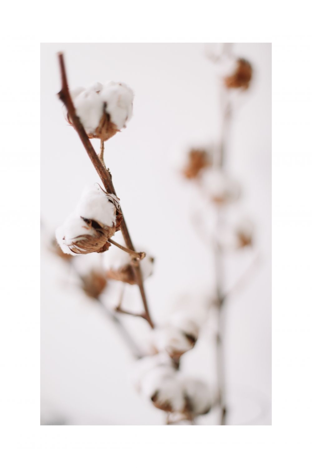 Постер "Хлопок Сабир" Черный, Белый, Дерево A4 [21×30] , A3 [30x40], A2 [40x60]