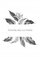 Постер "Everyday day is a miracle"