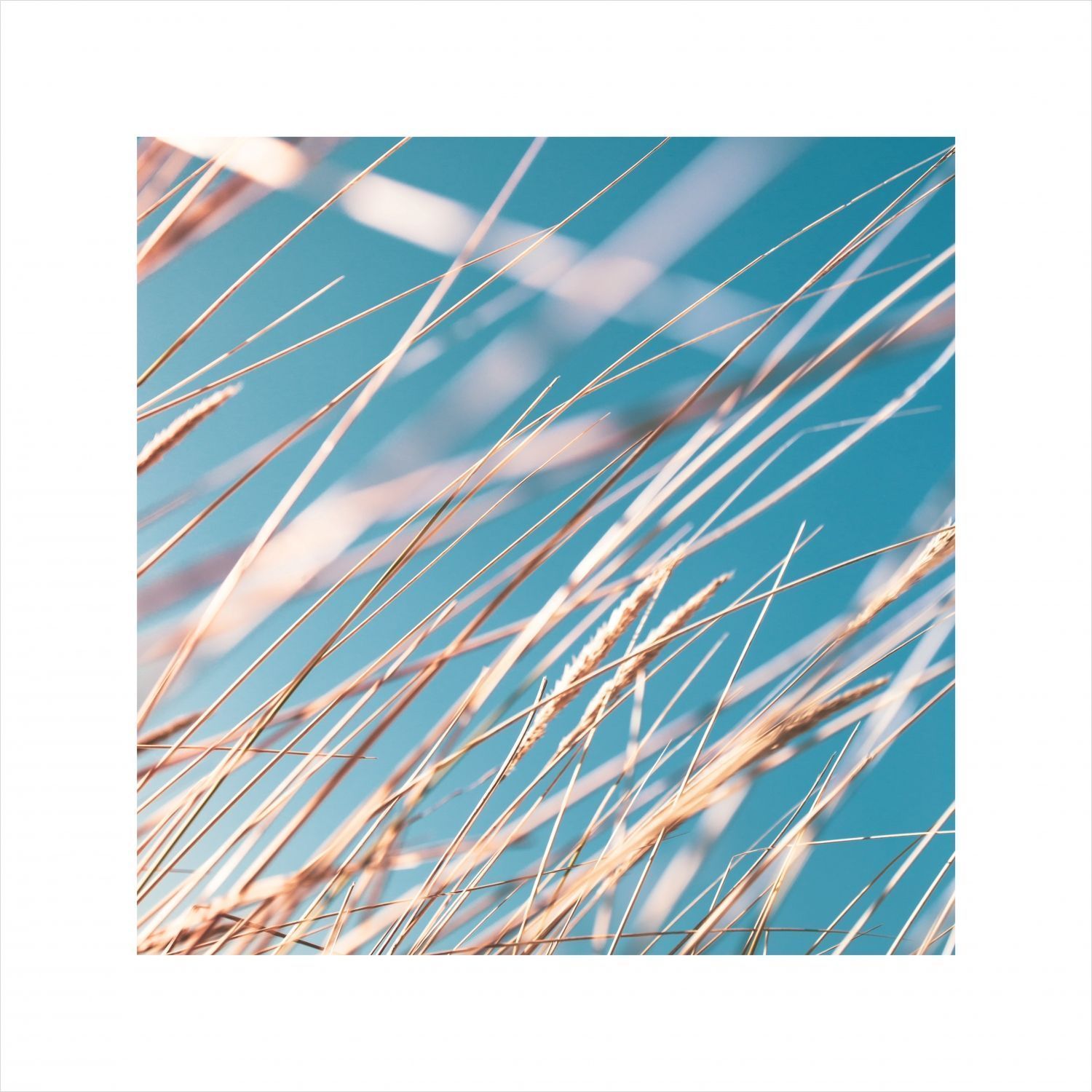 Постер "Sky" Черный, Белый, Дерево [60x60], [40x40]