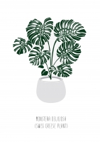 Постер "Monstera"
