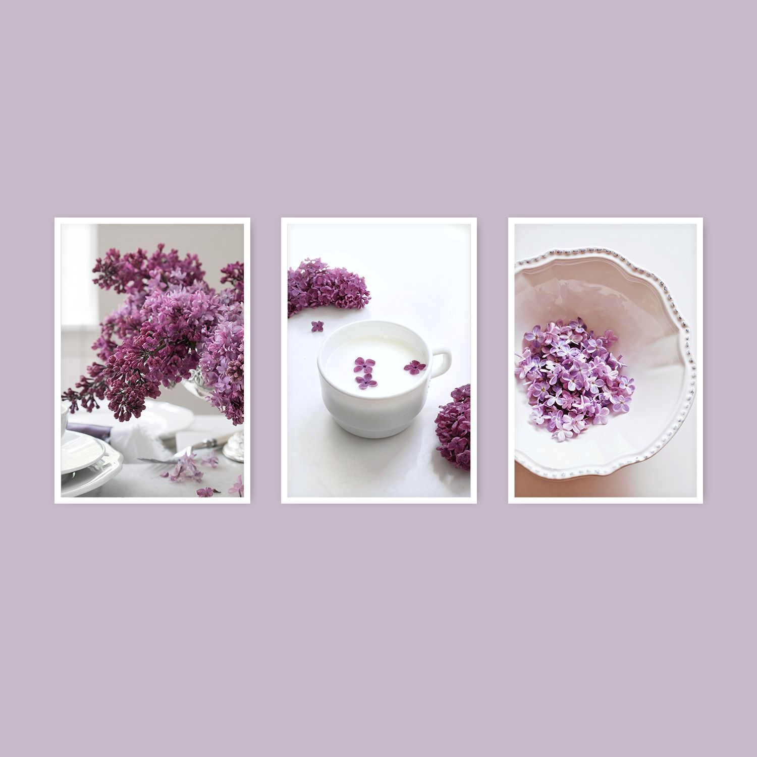 Набор постеров "Lilac"  