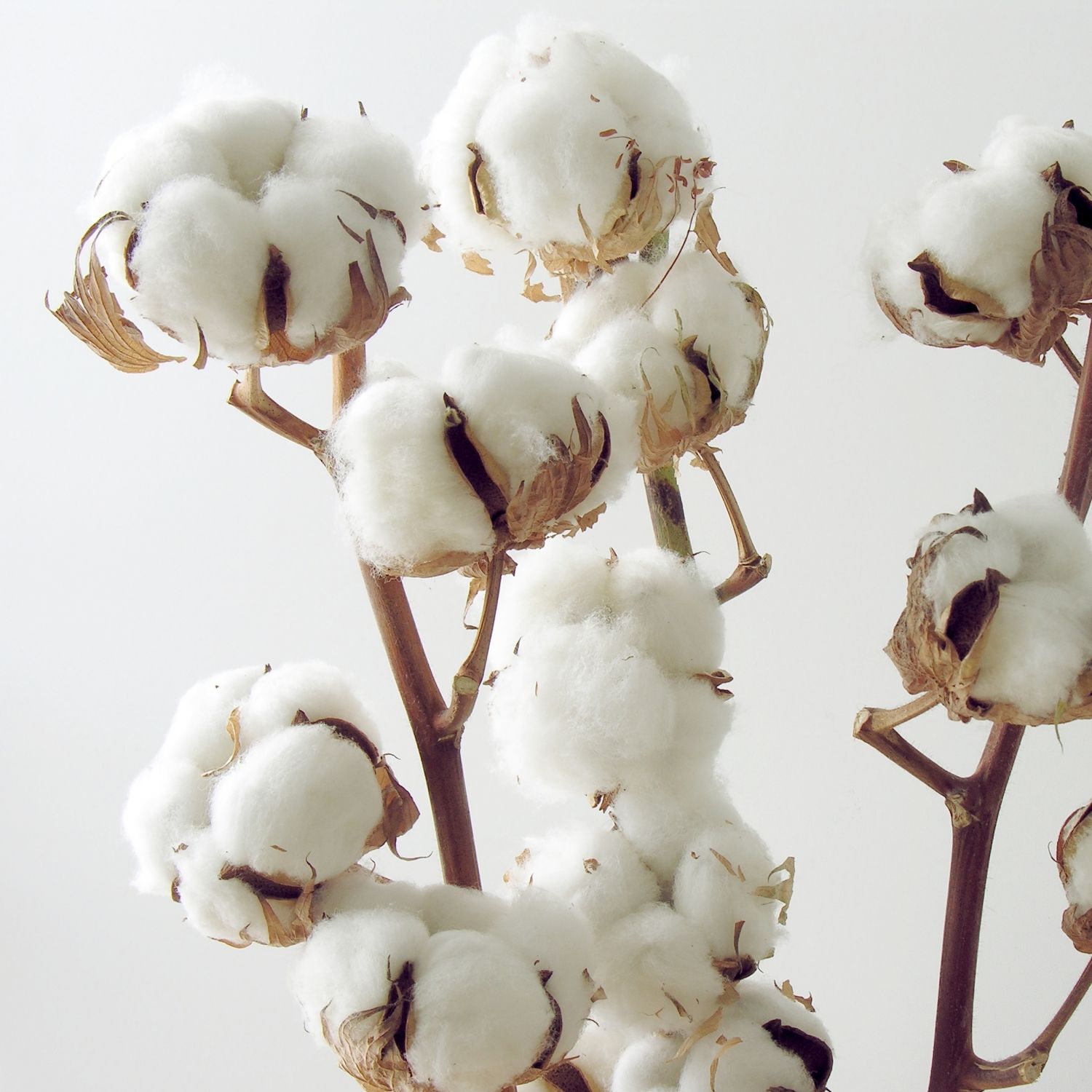 Постер "Трепет" Черный, Белый, Дерево [60x60], [40x40]