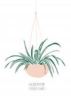 Постер "Chlorophytum"