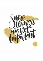 Постер "Some things are not important"