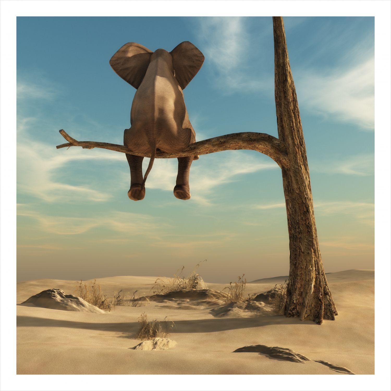 Постер "Высоко сижу" Черный, Белый, Дерево [60x60], [40x40]