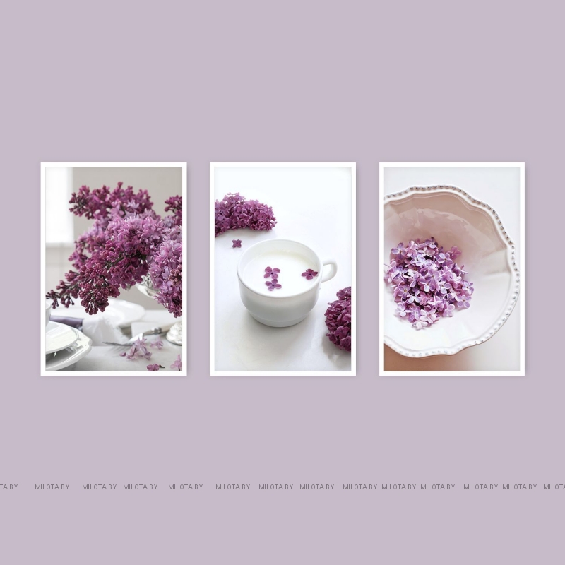 Набор постеров "Lilac"  