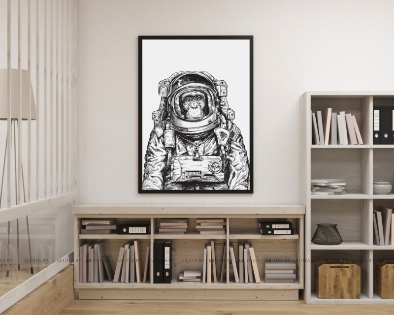 Постер "Space explorer" от Интернет магазина Милота
