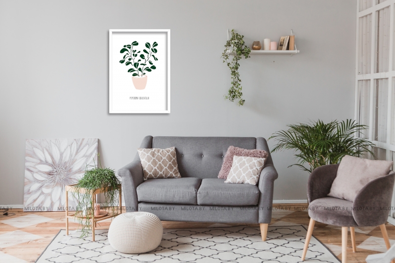 Постер "Peperomia"