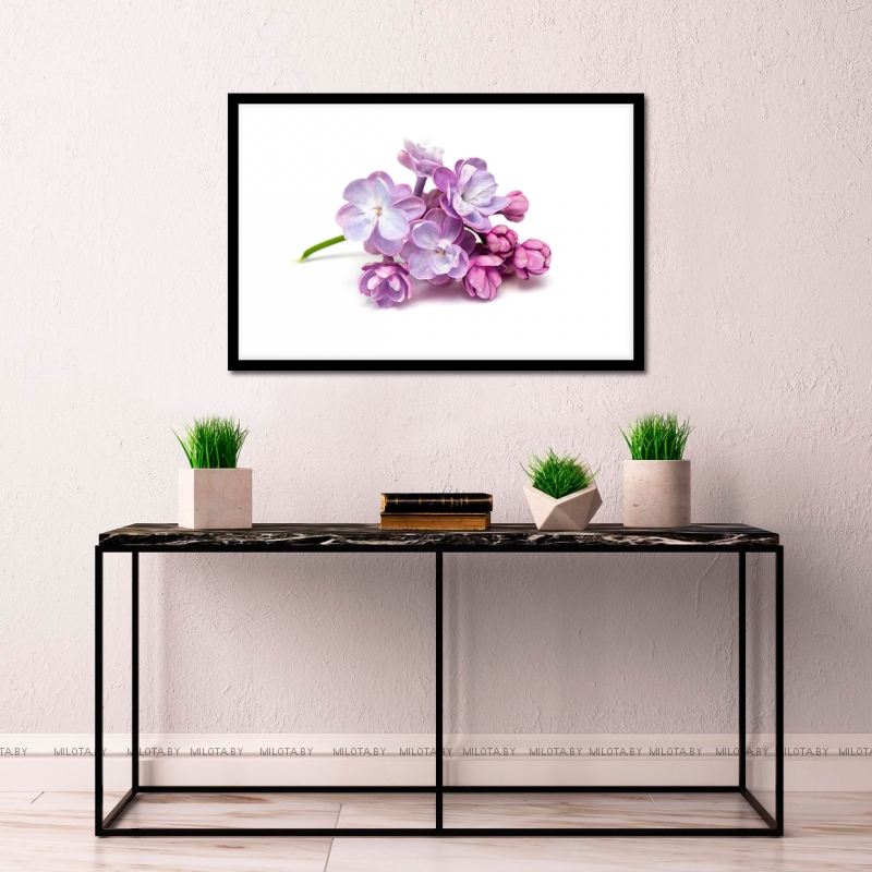 Постер "Lilac" Без рамки, Рамка A4 c небьющимся стеклом, Рамка A3 c небьющимся стеклом, Рамка A2 c небьющимся стеклом 