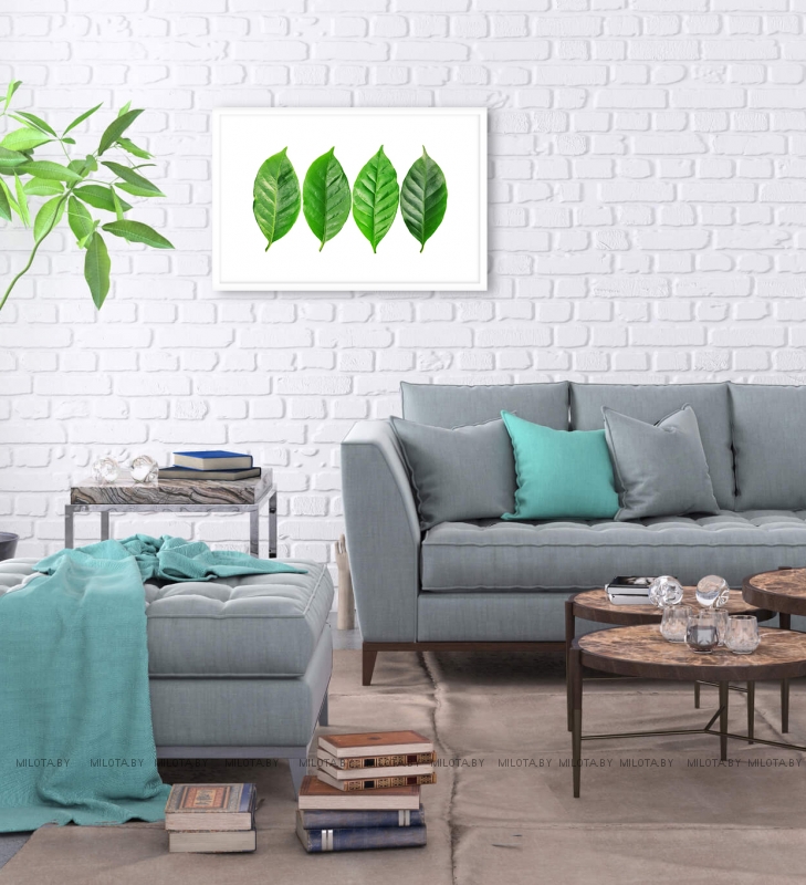 Постер "4 leaves" Без рамки, Рамка A4 c небьющимся стеклом, Рамка A3 c небьющимся стеклом, Рамка A2 c небьющимся стеклом 