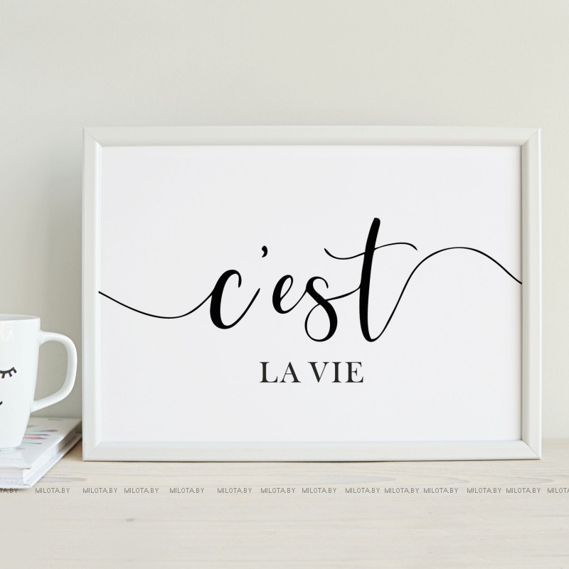 Постер "C'est la vie"