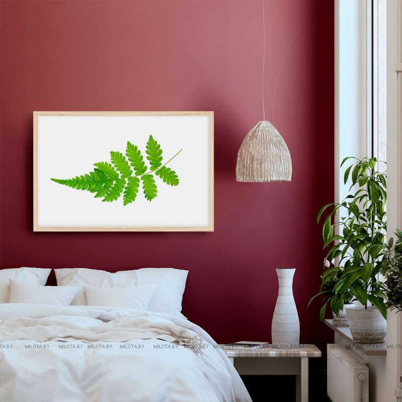 Постер "Fern" Без рамки, Рамка A4 c небьющимся стеклом, Рамка A3 c небьющимся стеклом, Рамка A2 c небьющимся стеклом 