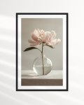Набор постеров "Тайна пионов"