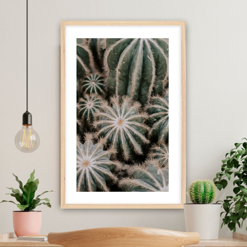 Постер "Кактусы" Черный, Белый, Дерево A4 [21×30] , A3 [30x40], A2 [40x60]